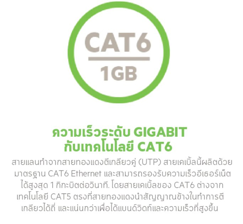 Belkin Network Lan Cat6 RJ-45 5 Meter Blue