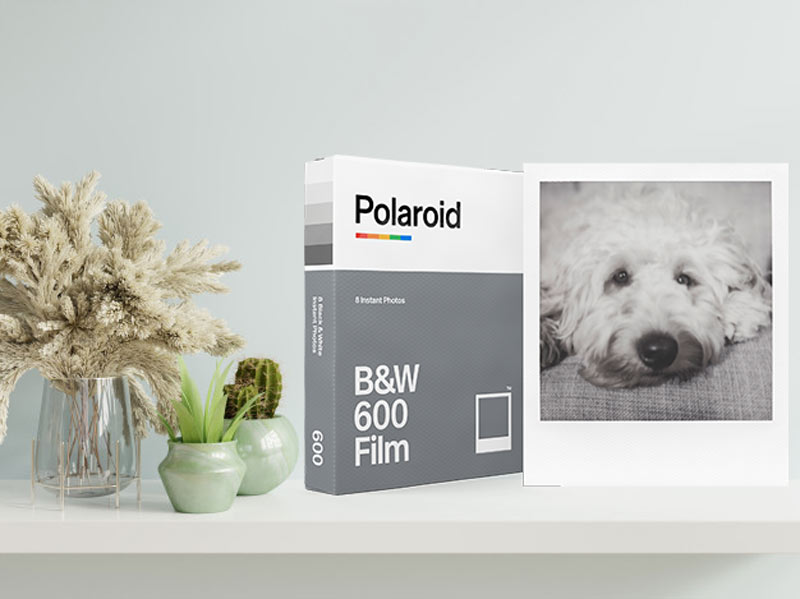 Polaroid B&W Film 600