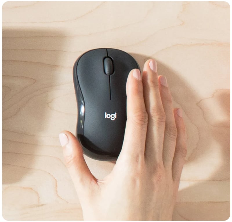Logitech Wireless Mouse + Keyboard Silent MK295 Graphite (TH/EN)